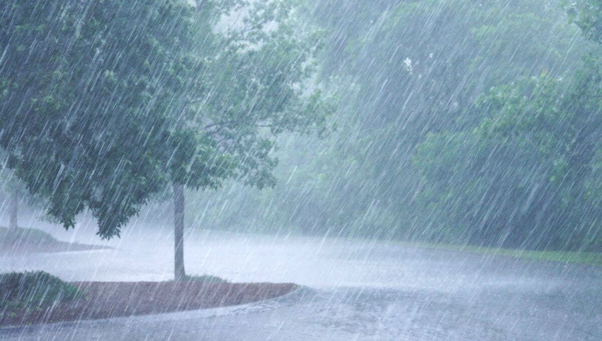 photographe mariage Arras cérémonie